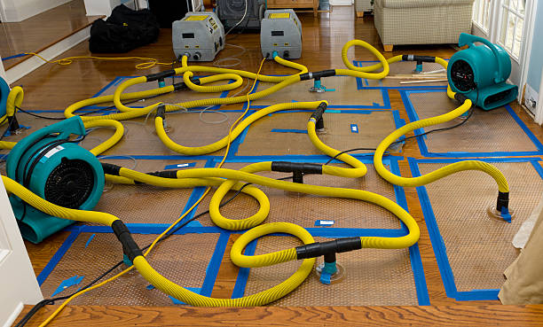 Professional Sewage Cleanup technician working in Redmond, WA